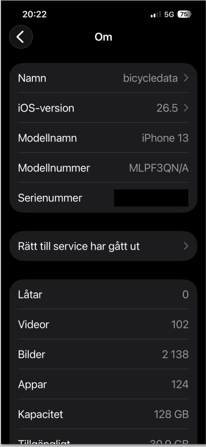 iPhone Settings > General > About