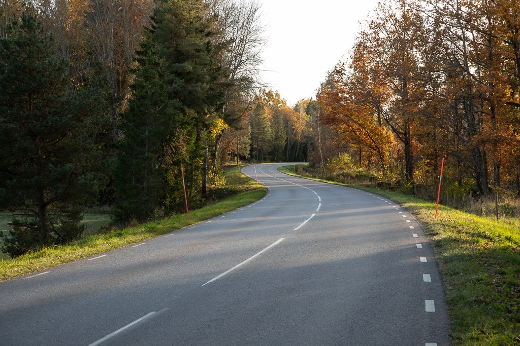 Curvy country road in sunlight